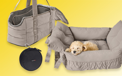 20260569_Kombibanner_Q2_484x303px_Reisen-mit-Hund_V1