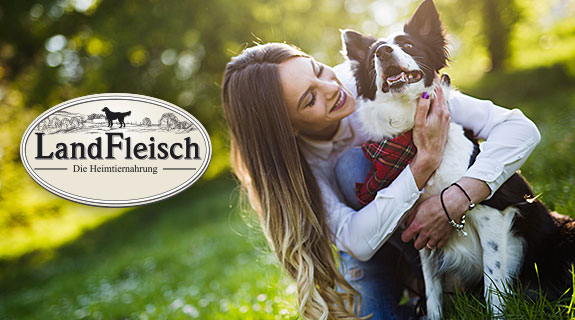 Kategorie-Landfleisch-hund-575x320