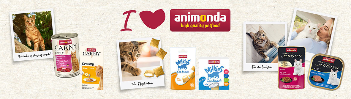 anominda-katze-93692-0