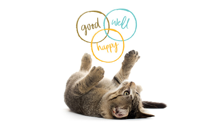 Markenwelt_2erKombibanner_Applaws_Cat_MÃ¼ller