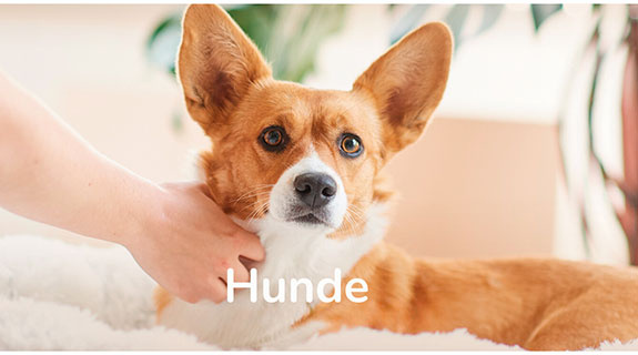 beaphar-hunde-93427-0