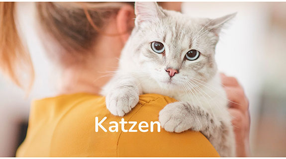 beaphar-katze-93428-0