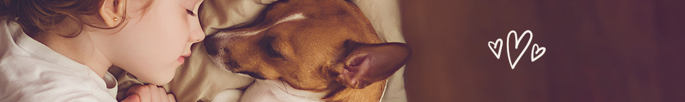 04-banner-1000x150px-82813-0