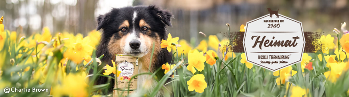 header desktop 1440x400 px