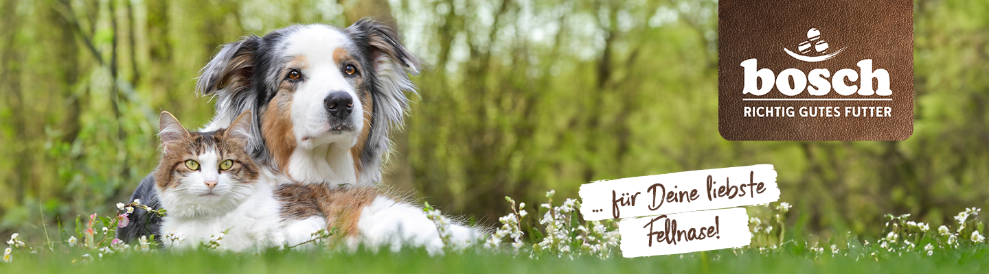 header desktop_1440x400px