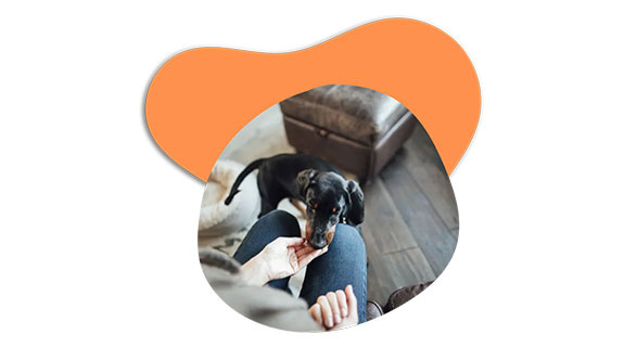 dokas-hundesnacks-88148-0