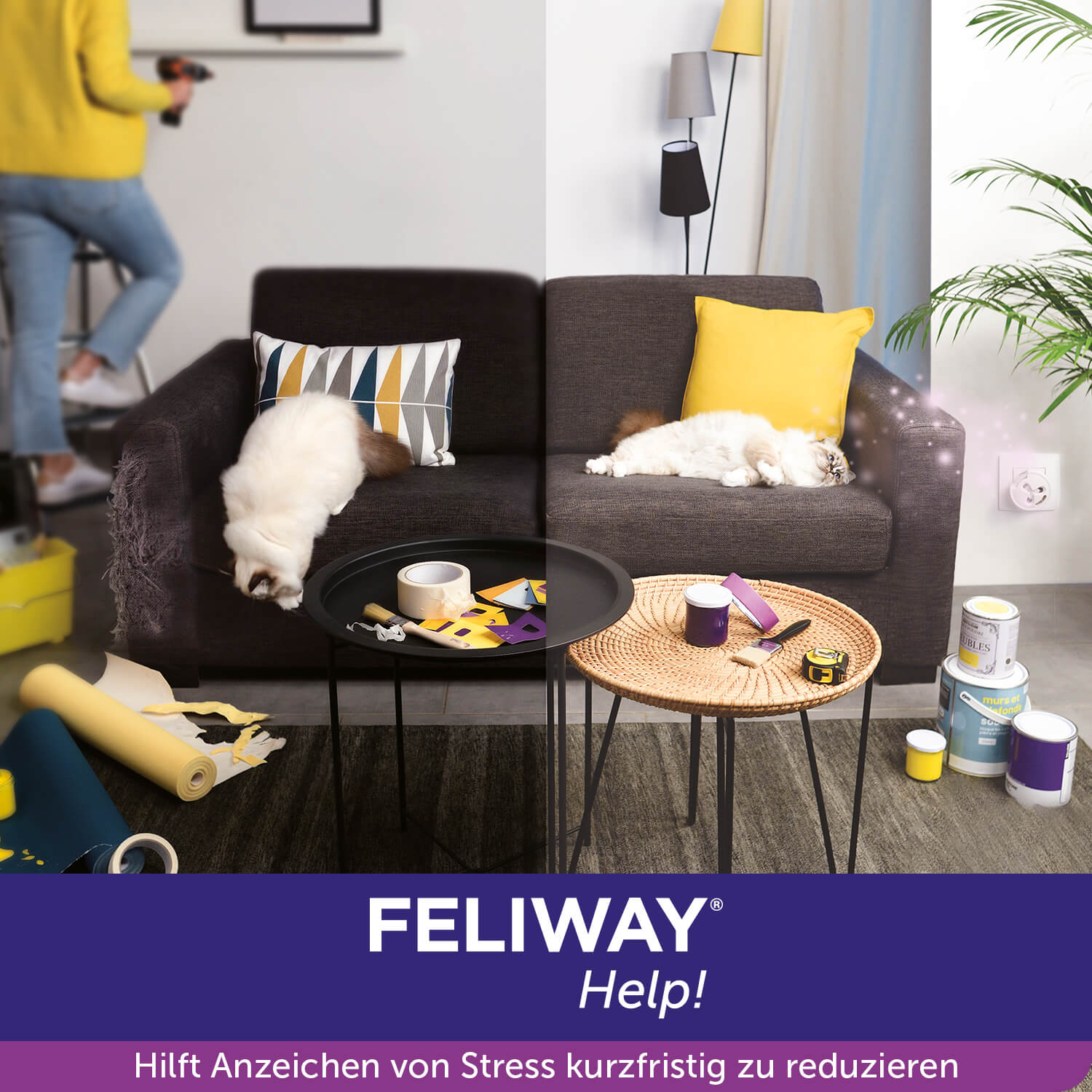 CEVA_FELIWAY_Help_Homepage_visuel_dt