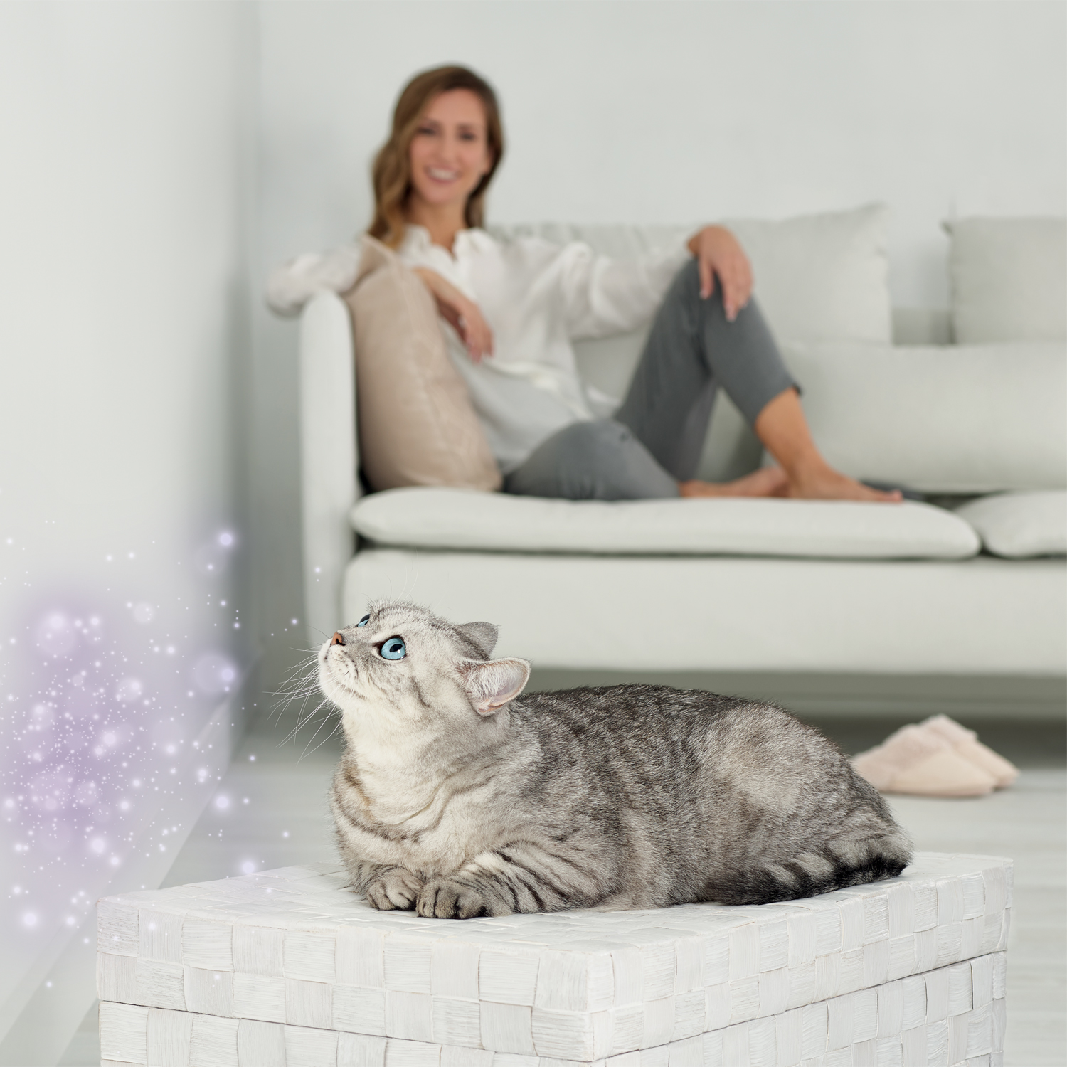 CEVA_Optimum_Fonctionnement-image