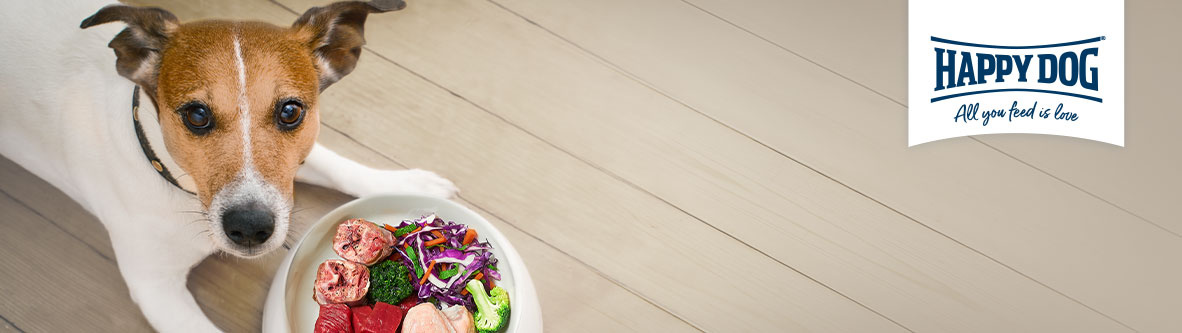 hd-1182x333-qualitaet-82789-0