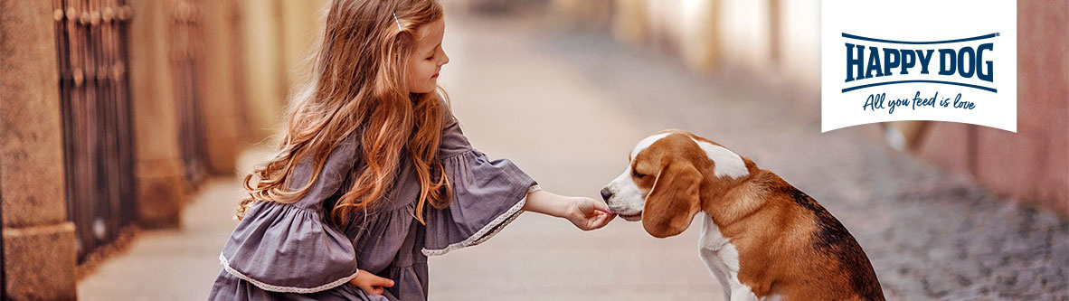 hd-1182x333-tradition-82788-0