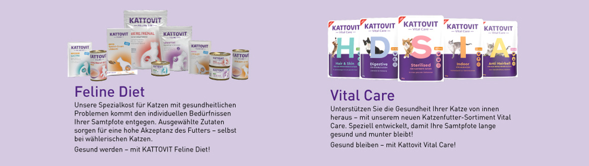 kattovit-fakten-98378-0