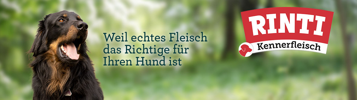 rinti-teaser-98366-0