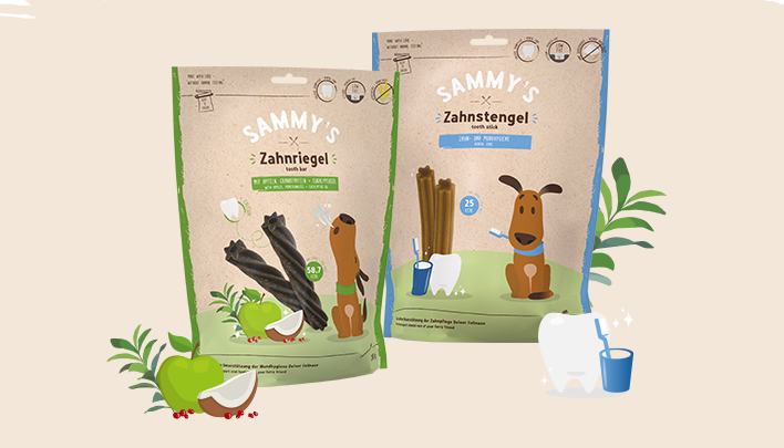 Category Card 1_708x405px