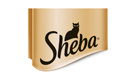 sheba