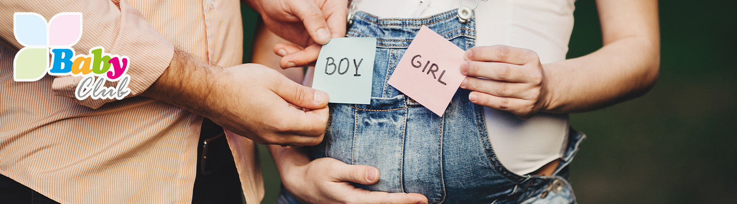 baby-club-zweites-trimester-1440x400.jpg