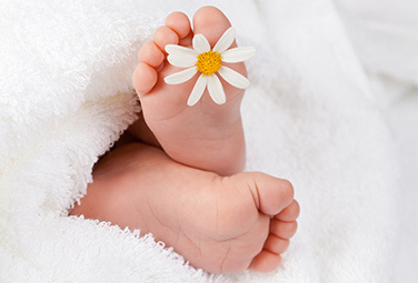 pflege-inhaltsstoffe-meinbaby-376x255-20647