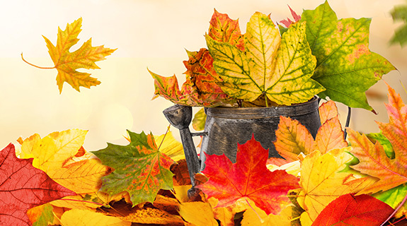 inspiration-basteln-herbst-575x320-18326