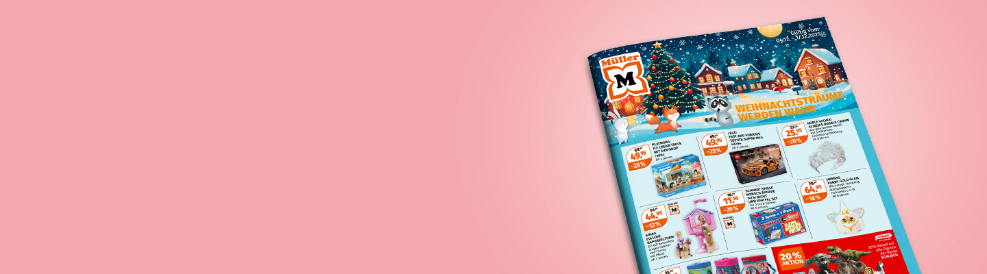 Banner Prospekt Spielware D11 CH