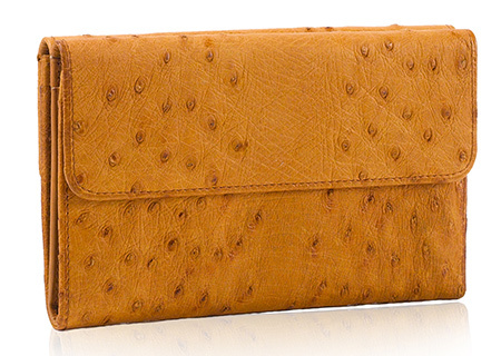 geldbeutel-815282-4-5834