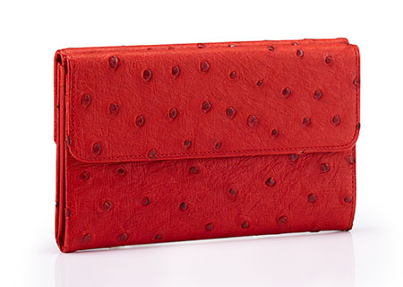 portemonnaie-2787126-rot-450x320-62117