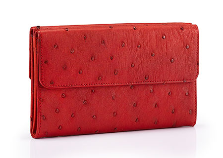 portemonnaie-2787141-rot-450x320-62120