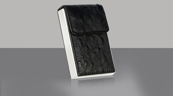 accessoires-straussenleder-575x320-5931