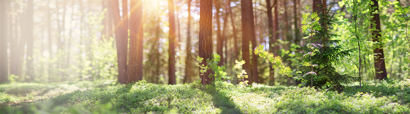 Nachhaltigkeit bei Müller