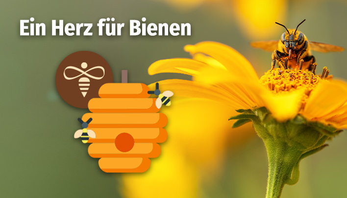 Bienenprojekt-708x405.jpg