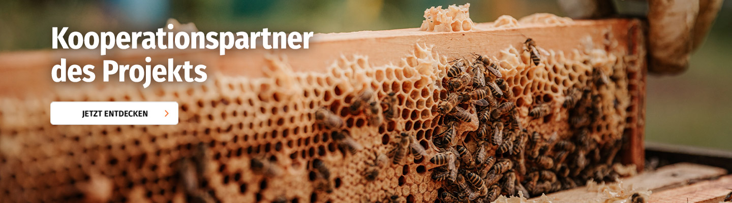 kooperationspartner-bienenprojekt-cta-1440x400.jpg