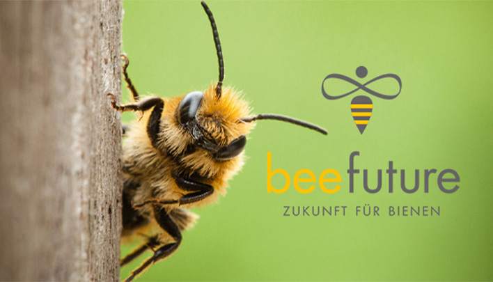 Biene an Dach 708x405