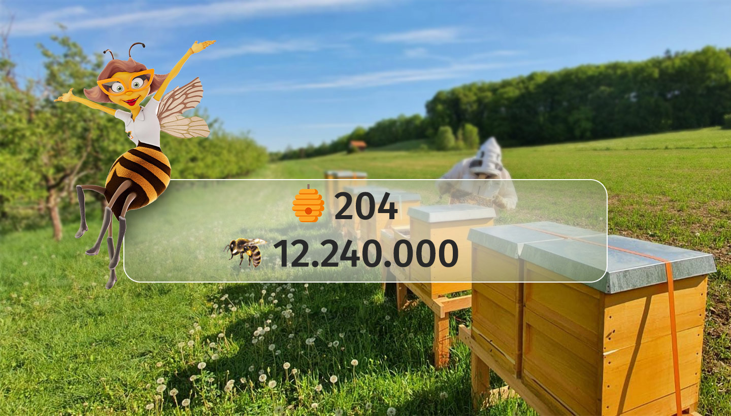bienenzaehler-13052025-1440x820.jpg
