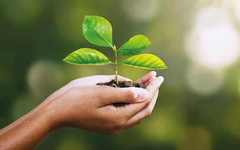 Unternehmen Nachhaltigkeit 484x303