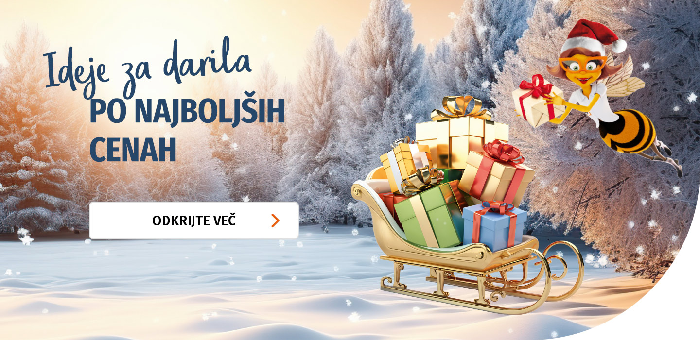 20252284_SliderDesktop_Weihnachten_1440x700px_SI