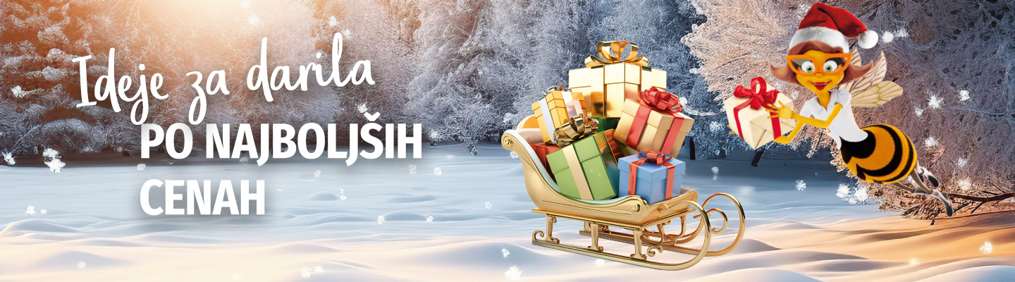 20252284_InlineBanner_Weihnachten_1440x400px_SI