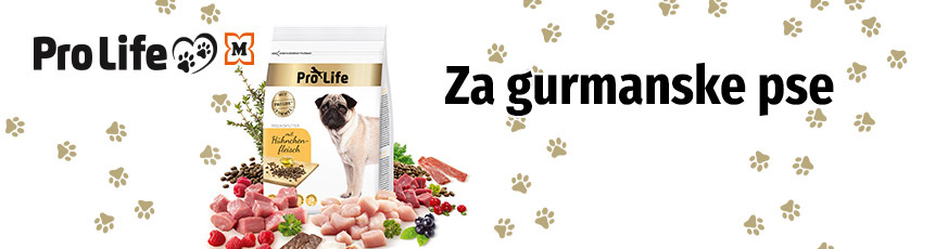 si-eigenmarken-pro-life-hund-873x230-37233