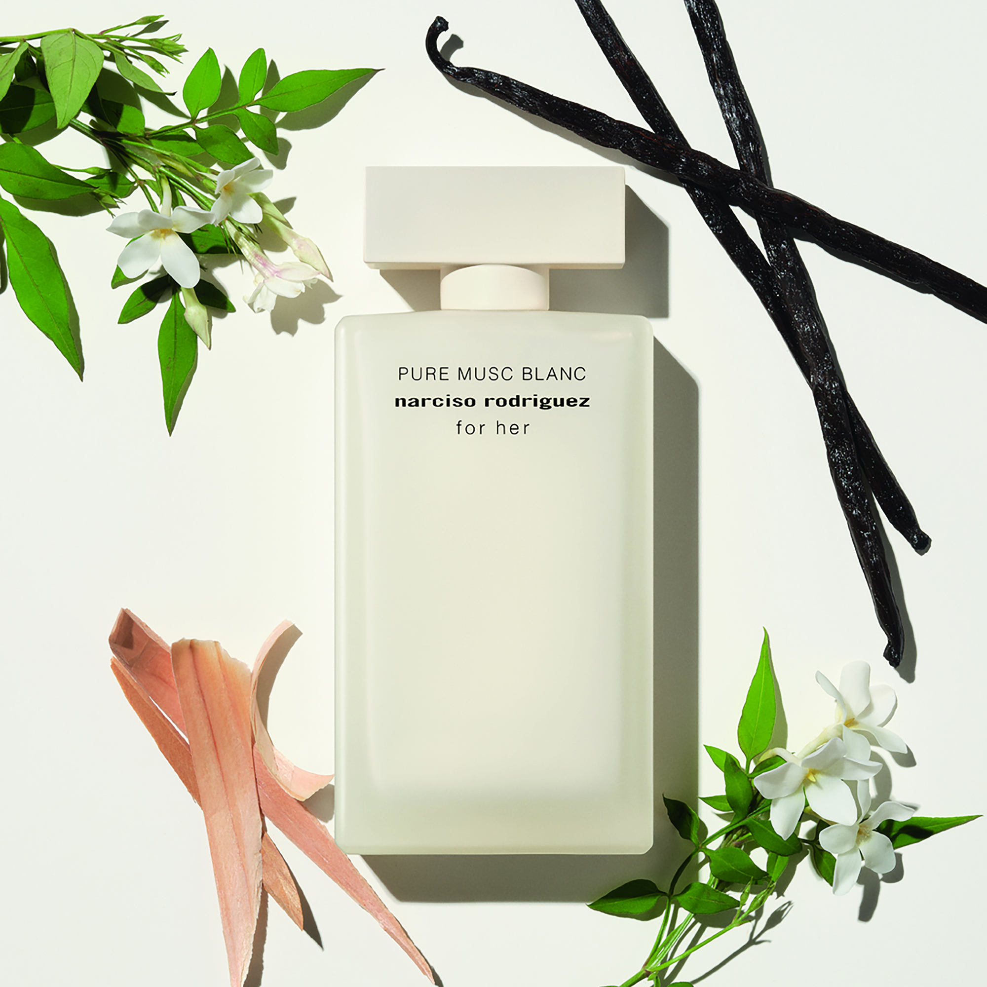 FH PURE MUSC BLANC_2026_INGREDIENT VISUAL_JASMINE CEDARWOOD VANILLA_RGB_2000x2000px_300dpi