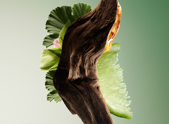 2-Muller-HR-SI-PRD-PARADIGME_LP_546x400px