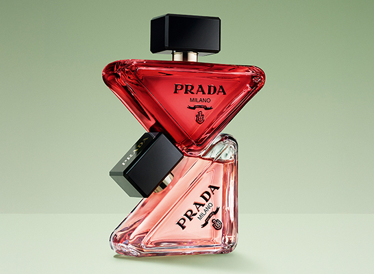 Muller-HR-SI_PARADOXE_RADICAL_PARADIGME_LP_546x400px_1