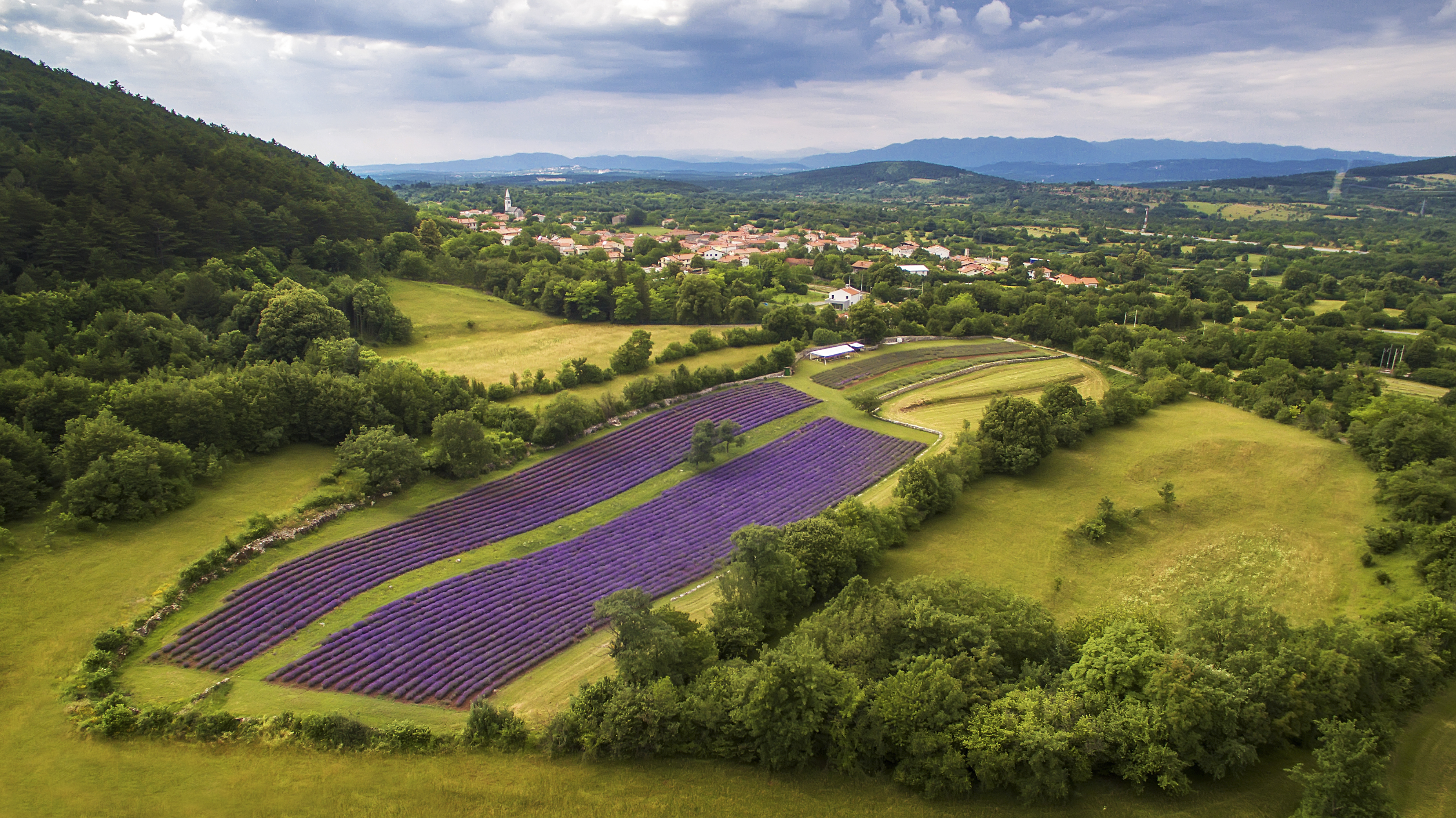 landingpage_Renčelj_VR-50714-1