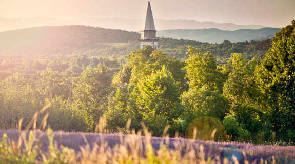 landingpage_rencelj._02-50713-1