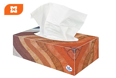 Softstar papierové vreckovky v dekoračnom boxe.