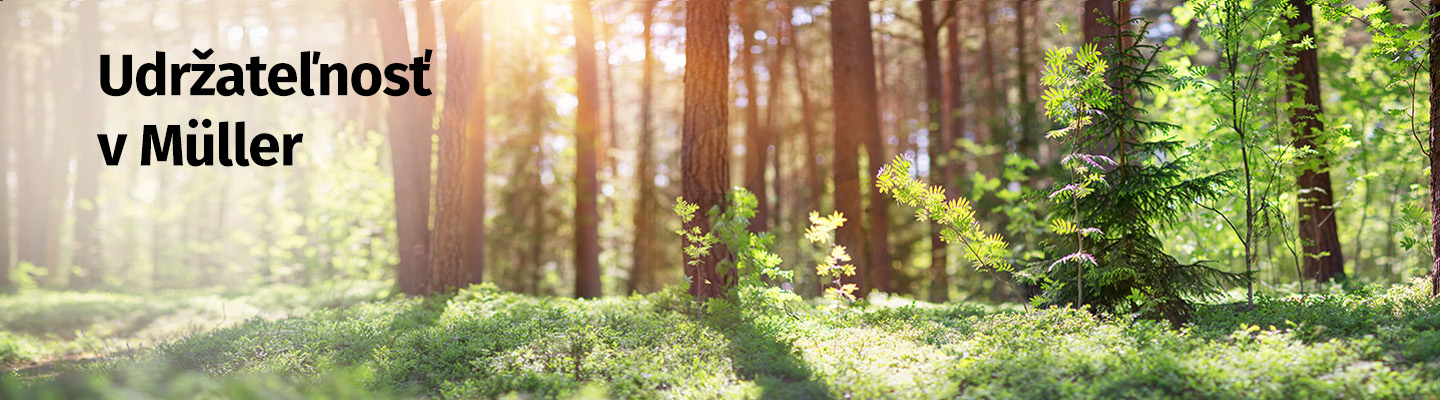 Udržateľnosť v Müller (obrázok zeleného lesa)